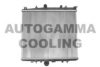 AUTOGAMMA 103221 Radiator, engine cooling